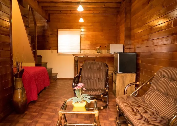 Chalet Dominnycos